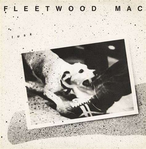 tusk fleetwood mac song
